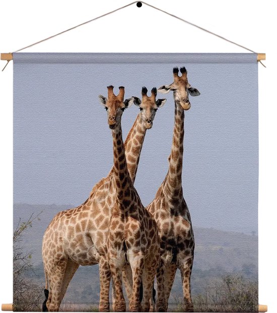 Textielposter Drie Giraffen Vierkant XL (60 X 60 CM) - Wandkleed - Wanddoek - Wanddecoratie