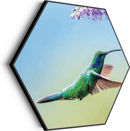 Akoestisch Schilderij Colibri Onderweg Naar Lavendel Hexagon Basic L (100 X 86 CM) - Akoestisch paneel - Akoestische Panelen - Akoestische wanddecoratie - Akoestisch wandpaneel