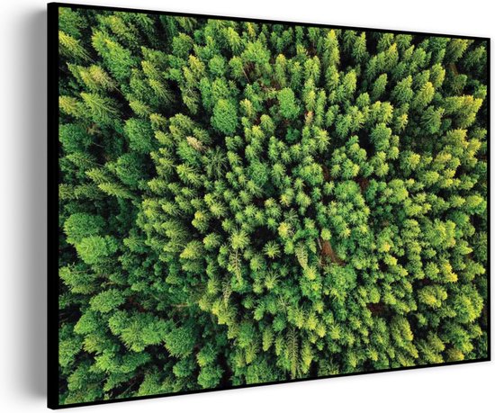 Akoestisch Schilderij Het groene bos Rechthoek Horizontaal Pro L (100 x 72 CM) - Akoestisch paneel - Akoestische Panelen - Akoestische wanddecoratie - Akoestisch wandpaneel