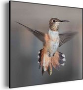 Akoestisch Schilderij De Vliegende Kolibrie Vogel Vierkant Basic S (50 X 50 CM) - Akoestisch paneel - Akoestische Panelen - Akoestische wanddecoratie - Akoestisch wandpaneel