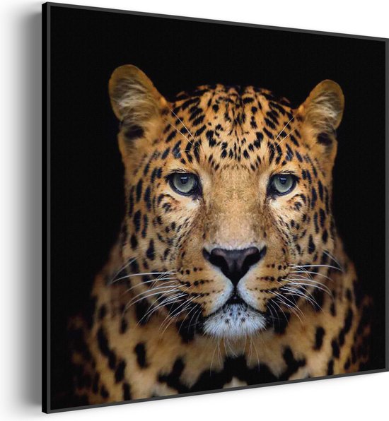 Akoestisch Schilderij De Jaguar Vierkant Pro M (65 X 65 CM) - Akoestisch paneel - Akoestische Panelen - Akoestische wanddecoratie - Akoestisch wandpaneel