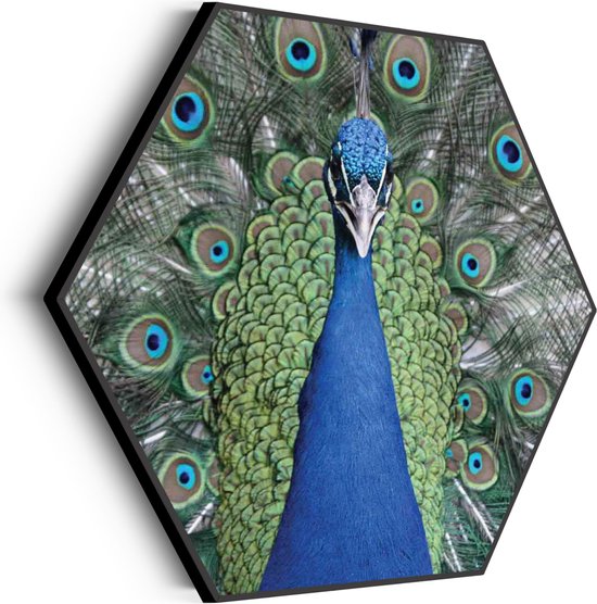 Akoestisch Schilderij Blauwe Pauw Met Groene Verem Hexagon Basic L (100 X 86 CM) - Akoestisch paneel - Akoestische Panelen - Akoestische wanddecoratie - Akoestisch wandpaneel