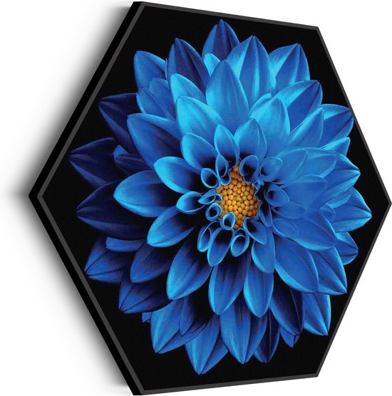 Zonnebloem 3D Metaal Schilderij 60x80 cm kopen? | EXPO