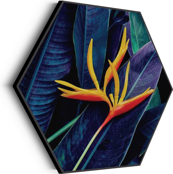 Akoestisch Schilderij Heliconia bloem op donkere achtergrond Hexagon Basic L (100 X 86 CM) - Akoestisch paneel - Akoestische Panelen - Akoestische wanddecoratie - Akoestisch wandpaneel