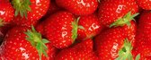 Fotobehang - Strawberry 375x150cm - Vliesbehang