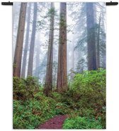 Velours Wandkleed Sequoia bos Rechthoek Verticaal L (165 X 120 CM) - Wandkleden - Met roedes