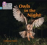 Big Cat Phonics for Little Wandle Letters and Sounds Revised- Owls in the Night