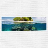 Muursticker - Koraal - Oceaan - Zee - Eiland - 150x50 cm Foto op Muursticker