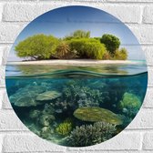 Muursticker Cirkel - Koraal - Oceaan - Zee - Eiland - 50x50 cm Foto op Muursticker