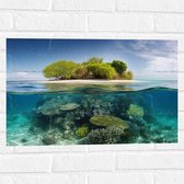 Muursticker - Koraal - Oceaan - Zee - Eiland - 60x40 cm Foto op Muursticker