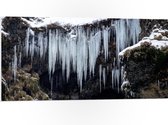 PVC Schuimplaat - Ijspegels - Sneeuw - Winter - Ijs - 100x50 cm Foto op PVC Schuimplaat (Met Ophangsysteem)
