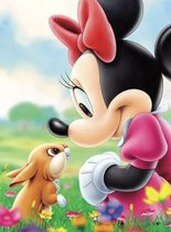 Disney diamond painting- Minnie Mouse-30x40-ronde steentjes-compleet pakket