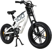 P4B - Fatbike - Fatbike électrique - Vélo électrique - VTT électrique - E bike - Wit - Garantie 1 an - Légal sur la voie publique