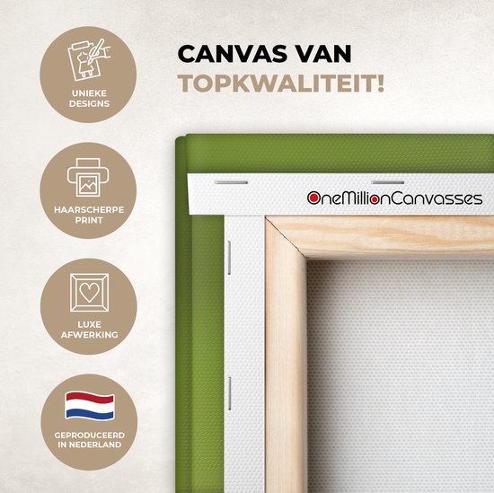 Tableau Grenouille - Branche - Vert - 60x40 cm - Décoration murale