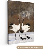 Canvas Schilderij Twee Japanse kraanvogels doen een paringsdans in de sneeuw - 80x120 cm - Wanddecoratie