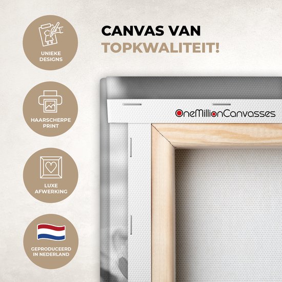 Canvas Schilderij Bloemen - Wei - Paars - Gras - Wit - Wolken - Blauw - 20x30 cm - Wanddecoratie