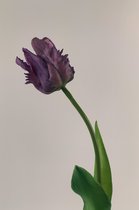 Zijden kunstbloem Parkiet Tulp | Paars | Lengte 40 centimeter