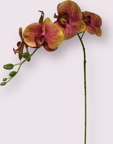 Zijden kunstbloem Orchidee | Roze | Lengte 100 centimeter