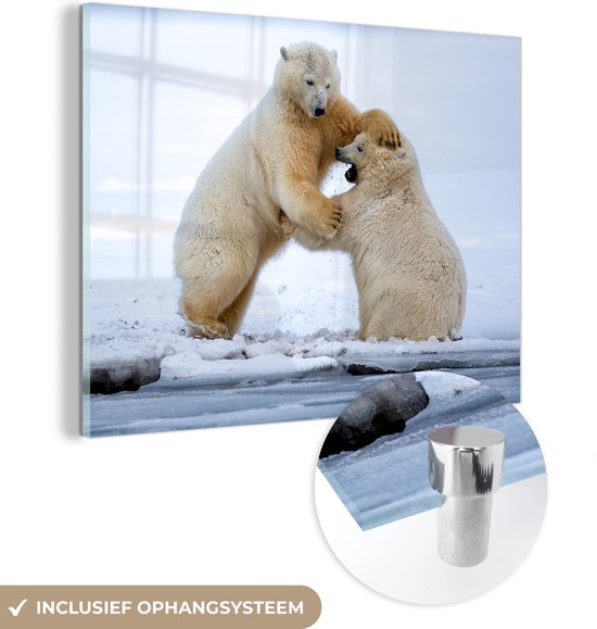 Peinture sur Verre - Ours Polaires - Jouant - Glace - 80x60 cm - Peintures sur Verre Peintures - Photo sur Glas