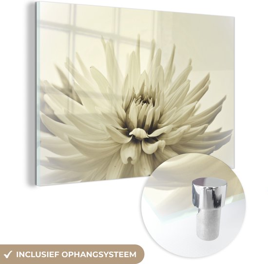 MuchoWow® Glasschilderij 60x40 cm - Schilderij acrylglas - Witte dahlia bloem sepia fotoprint - Foto op glas - Schilderijen