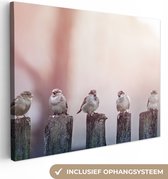 Canvas Schilderij Vogels - Mussen - Paaltjes - Hout - 80x60 cm - Wanddecoratie