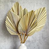 Palmbladeren - Gedroogde Palmwaaiers - Tropische Decoratie - Decoratie voor Thuis - Boho - 5 stuks - 48x 14cm