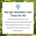 Tekst 'Wij zijn donateur van Trees for All' met logo, over achtergrond van boomtakken.