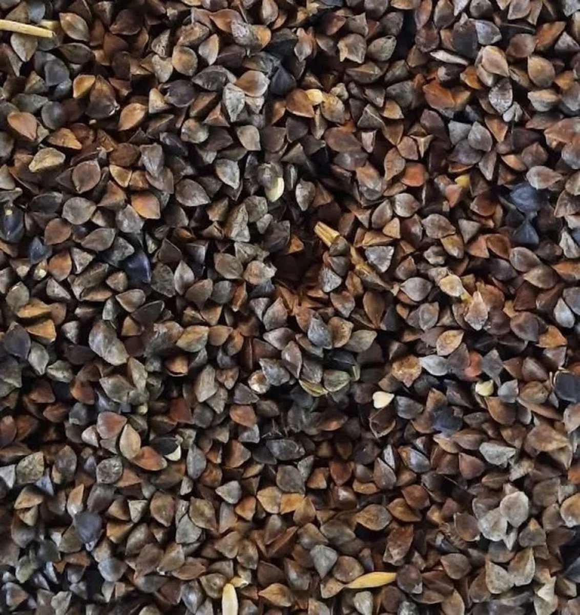 Reniers Fishing Gekuiste Boekweit - Maat : 3 Kilo