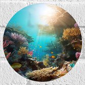 Muursticker Cirkel - Onderwater - Oceaan - Zee - Koraal - Vissen - Kleuren - Zon - 20x20 cm Foto op Muursticker