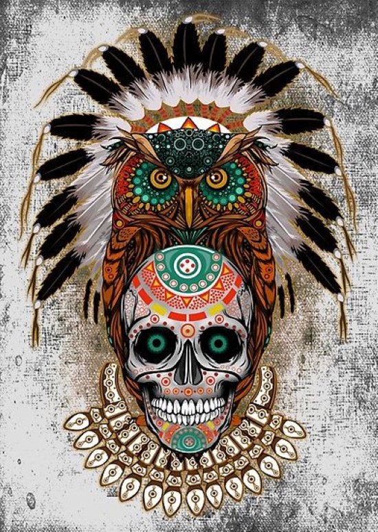 Foto: Indian native owl sugar skull indiase inheemse uil suiker schedel indiaans origineel diamond painting 35x45 ronde steentjes