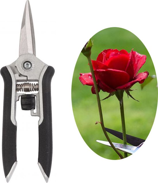 Tuin de Bruijn® snoeischaar - bloemenschaar - SK5 koolstofstaal - Knippen tot Ø6mm van Tuin de Bruijn® — afbeelding 3