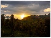 PVC Schuimplaat- Zon - Zonsondergang - Bloemen - Bomen - Berg - 40x30 cm Foto op PVC Schuimplaat