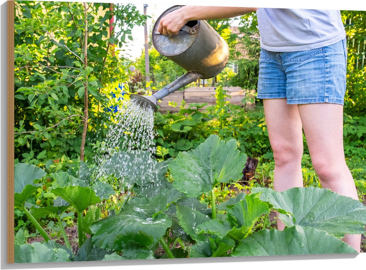 Hout - Tuin - Bloemen - Planten - Gieter - Water - Groen - 100x75 cm - 9 mm dik - Foto op 