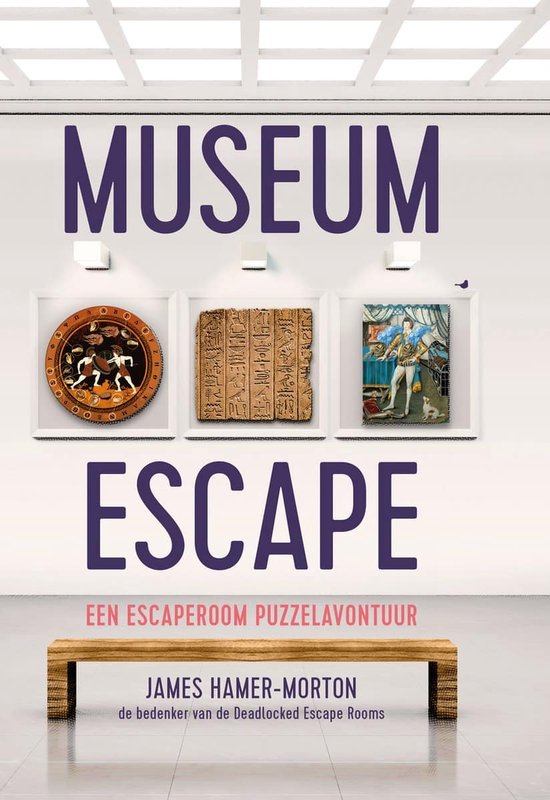 Museum Escape, James HamerMorton 9789045326429 Boeken bol
