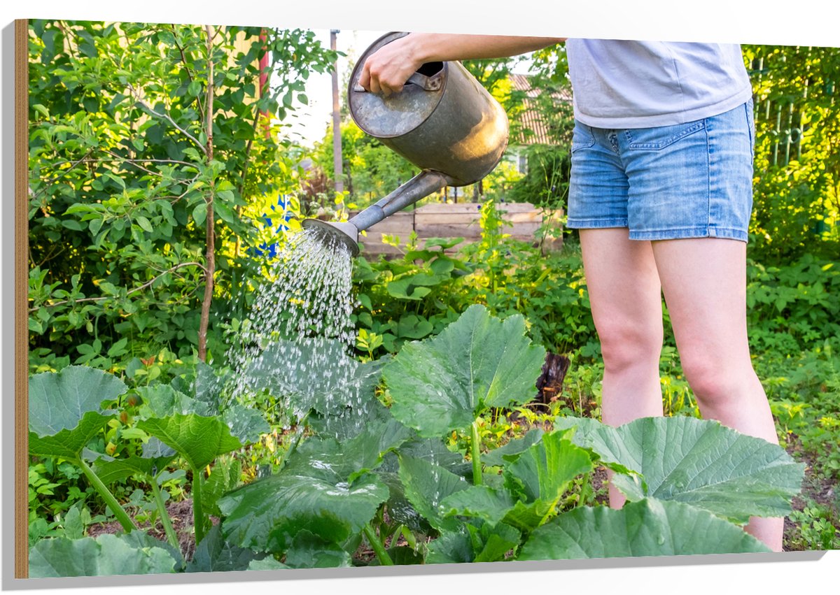 Hout - Tuin - Bloemen - Planten - Gieter - Water - Groen - 120x80 cm - 9 mm dik - Foto op