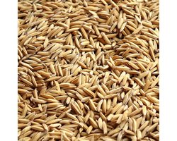 Rijstvogel- Vogelvoer- Paddy zaad- Paddy rijst- Paddy- 2 kilo