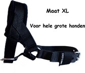 Gentle leader - Zwart - Gevoerd - Maat XL - Antitrek hoofdhalster hond - Hoofdhalster hond - Antitrek hond - Trainingshalsband