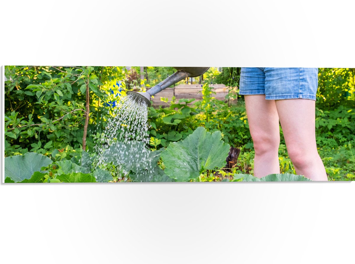 PVC Schuimplaat- Tuin - Bloemen - Planten - Gieter - Water - Groen - 60x20 cm Foto op PVC 