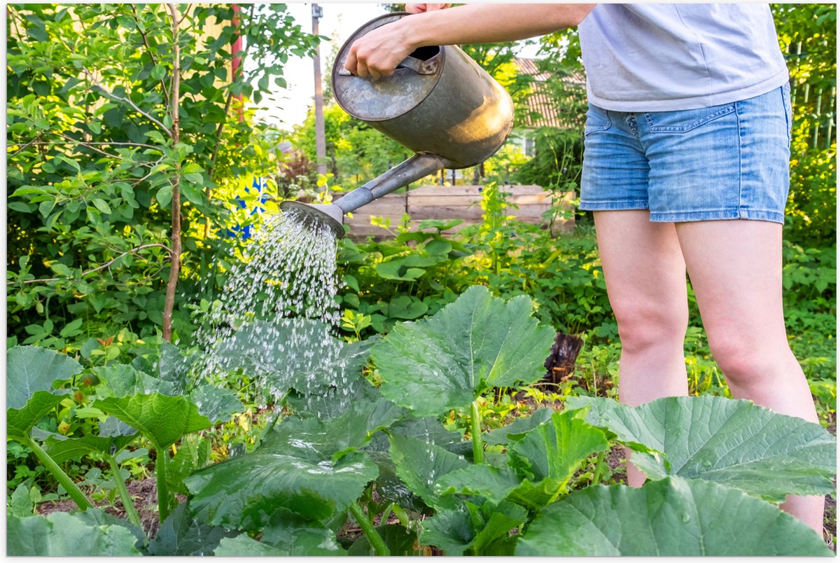 Poster (Mat) - Tuin - Bloemen - Planten - Gieter - Water - Groen - 75x50 cm Foto op Poster