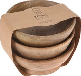 Home & Styling Schaaltjes/kommetjes - 3x - mango hout - 11 x 5 cm