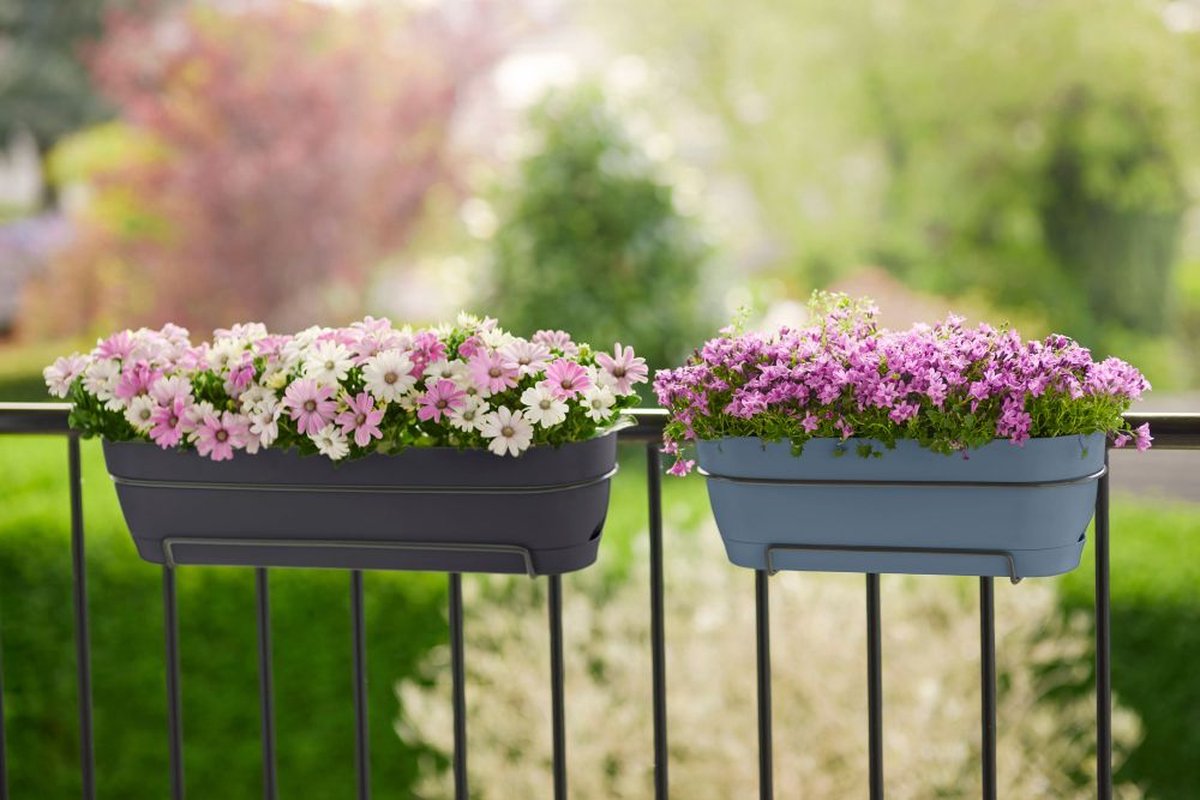Elho Vibia Campana Balcony Planter Allin1 50 - Planter for Balcony