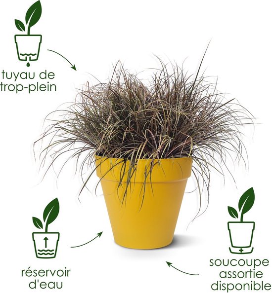 Gele bloempot met siergras, met pijlen die verwijzen naar tuyau de trop-plein, réservoir d'eau en soucoupe assortie.