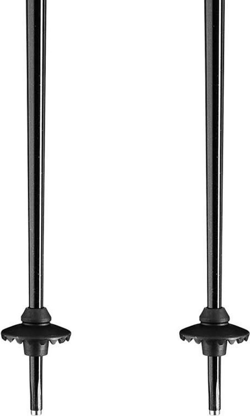 Bâtons Leki Alpino Primacy Argent 125 cm