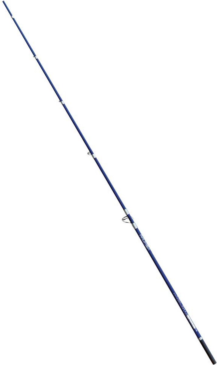 Nomura Seamaster Kanji Spinhengel Blauw 2.43 m / 20-100 g