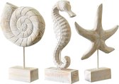 Pakket van 3 standbeelden Zeepaardje Schelp Zeester Maritieme Decoratie Moderne Maritieme Sculptuur Decor Handgemaakt voor Woonkamer Keuken Decoratie