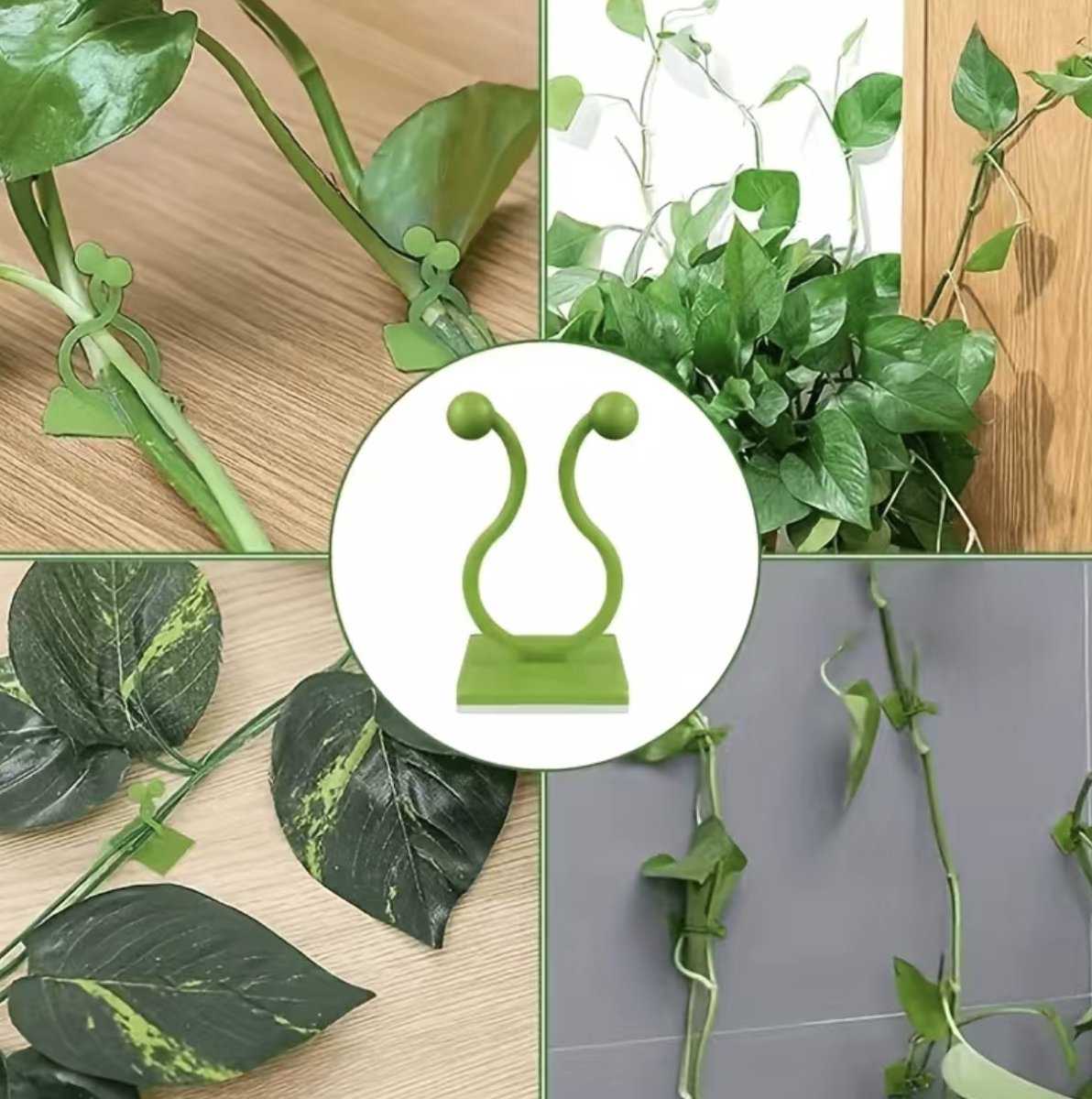 50 stuks klimplanten, bevestiging, wandplantenclips, zelfklevende