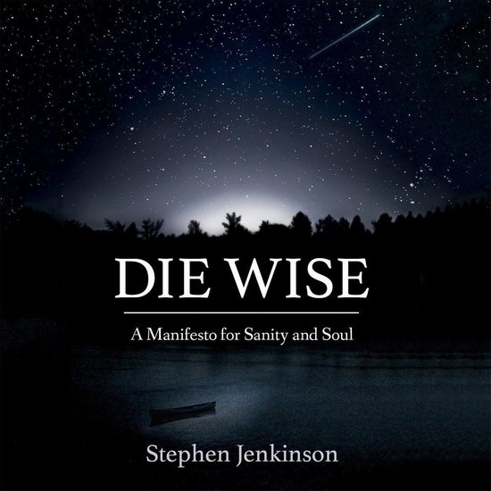 Die Wise - cover