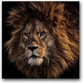 MN Collections - Schilderij - Animal Photography. - Zwart, Wit En Bruin - 50 X 50 Cm