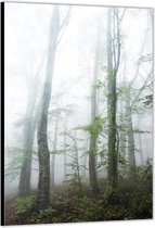 Dibond –Mist in het Bos– 40x60cm Foto op Aluminium (Wanddecoratie van metaal)
