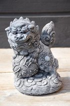 Foo-Dogs, set